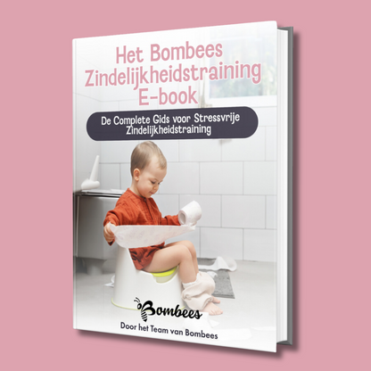 E-Book Zindelijkheidsgids